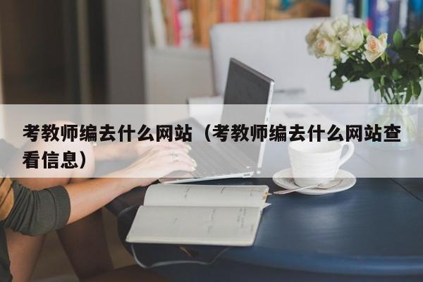 考教师编去什么网站（考教师编去什么网站查看信息）